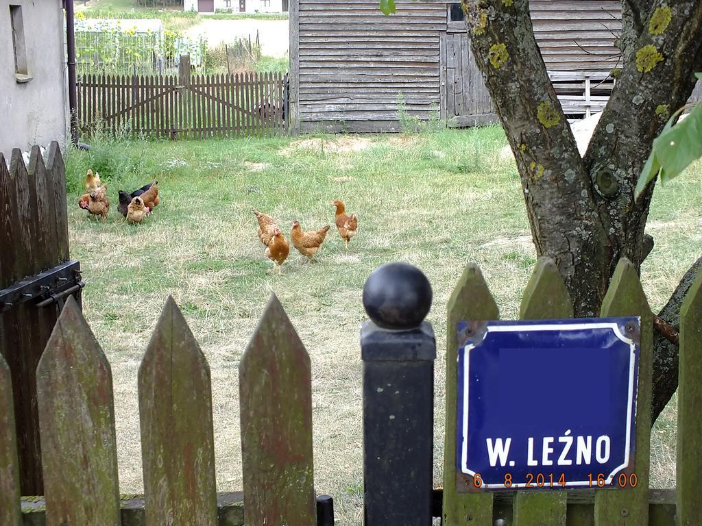 Agroturystyka Wielkie Lezno Экстерьер фото